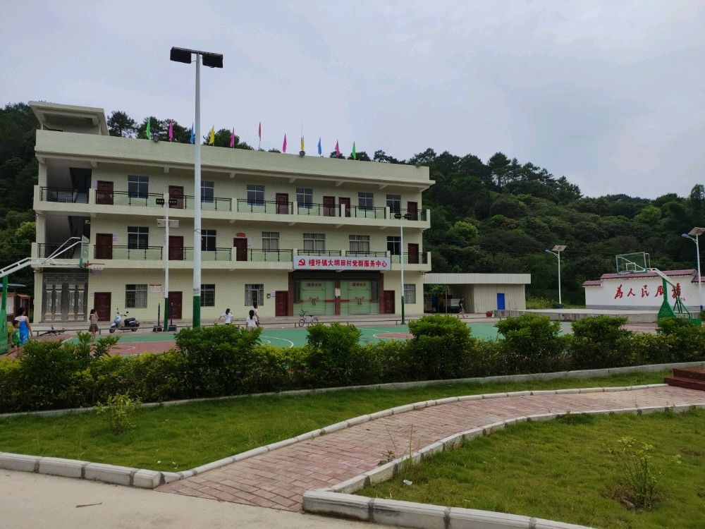 大垌田村委网红球场