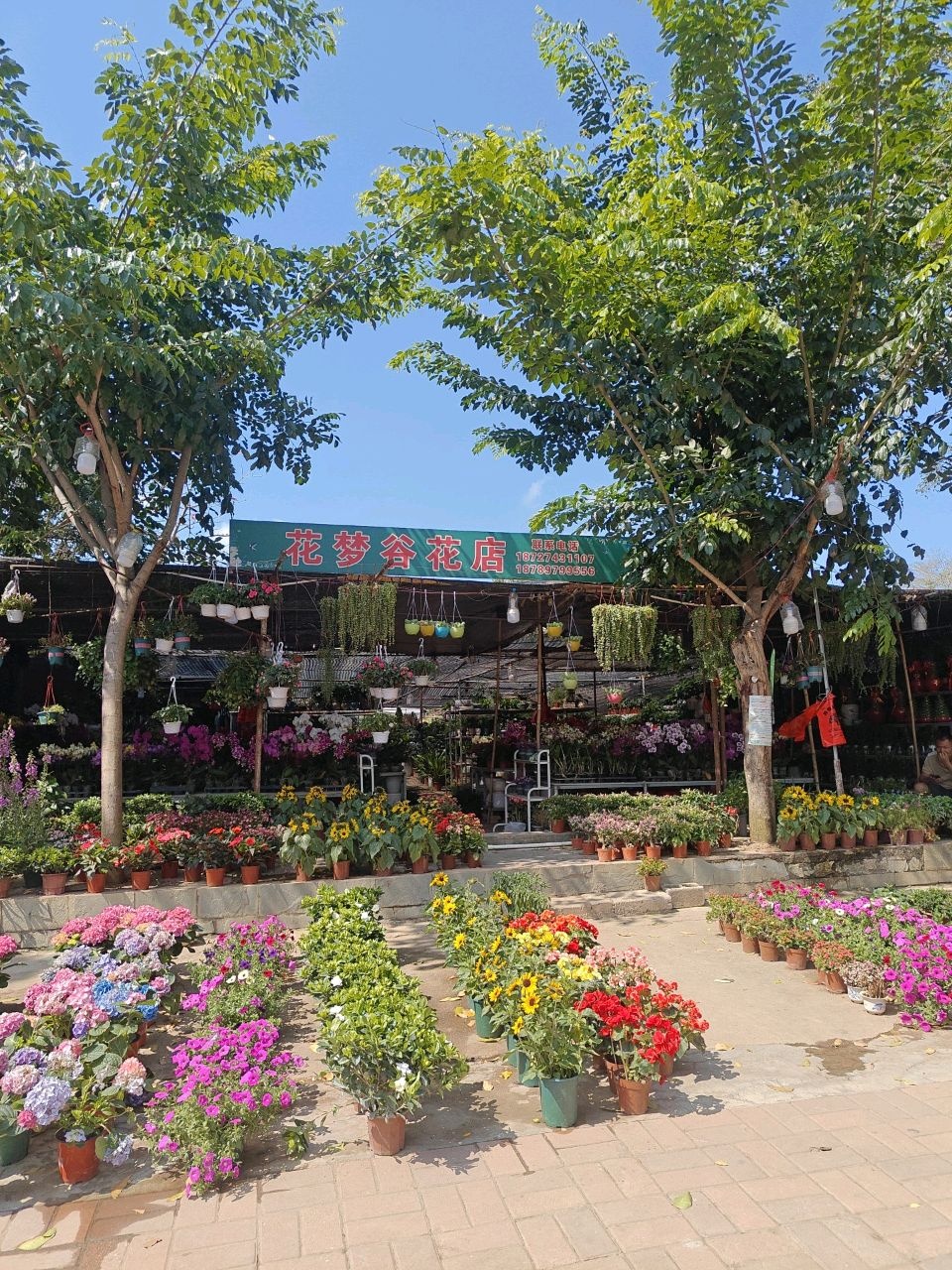 三亚花梦谷花店