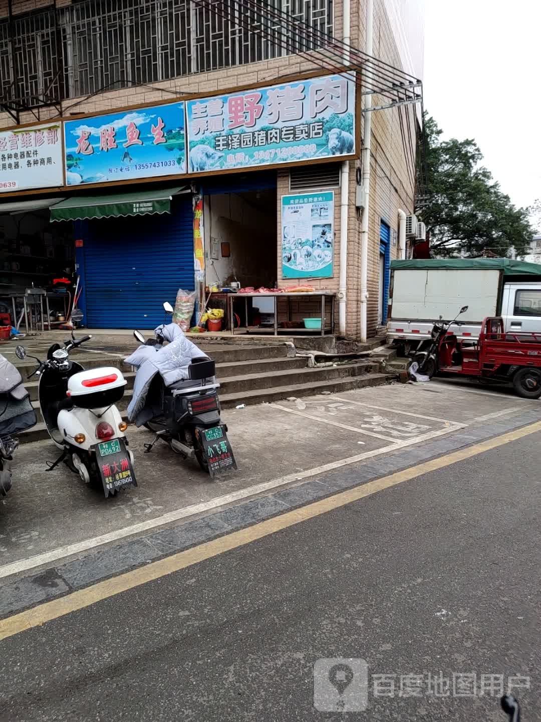 龙生鱼生店
