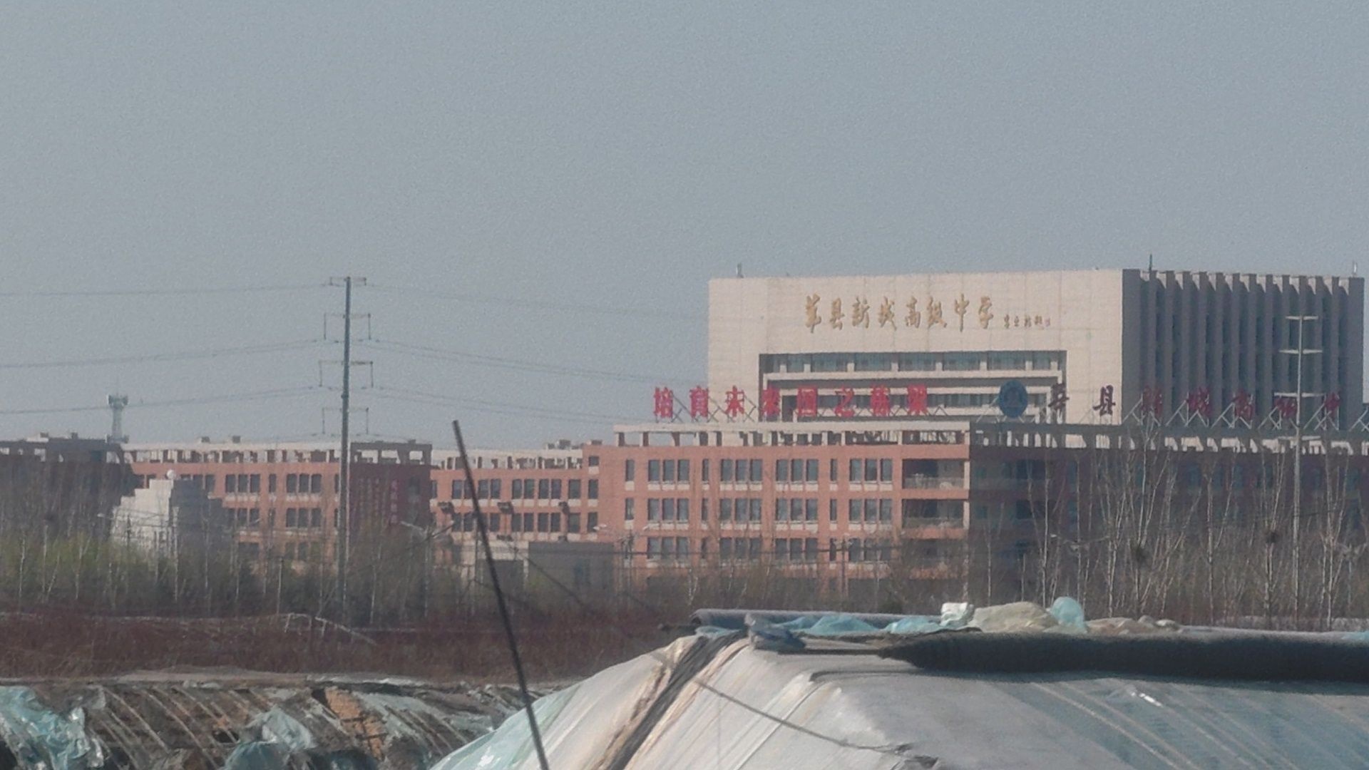 莘县新城高级中学
