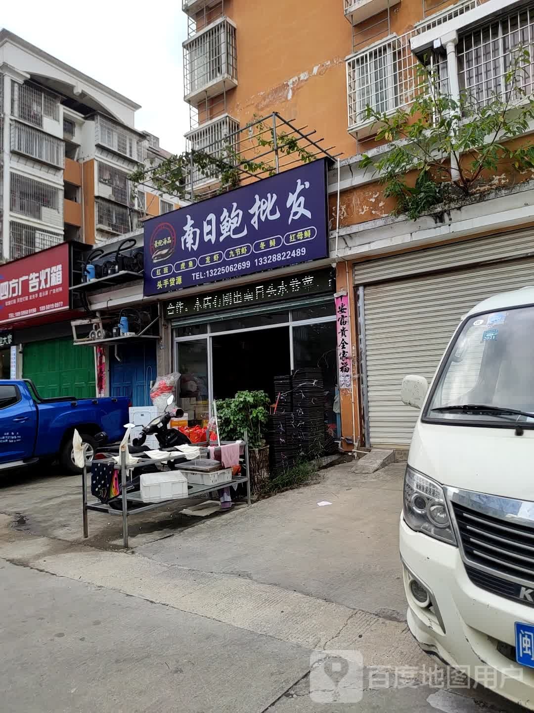 南日鲍批发