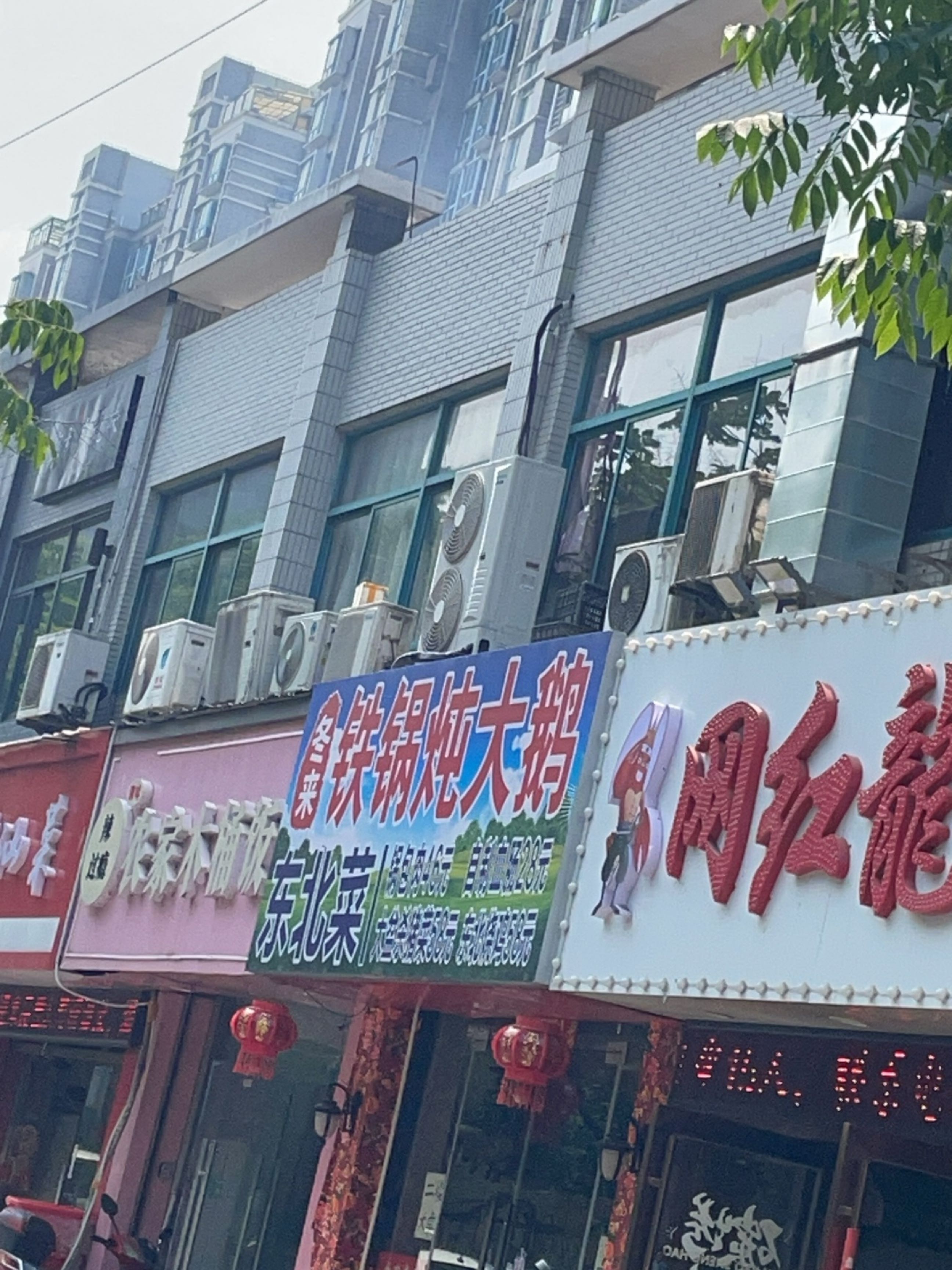 冬来东北铁锅炖大鹅