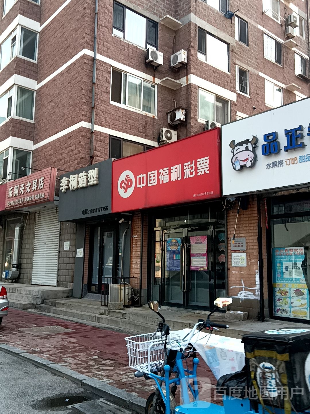 李桐造型