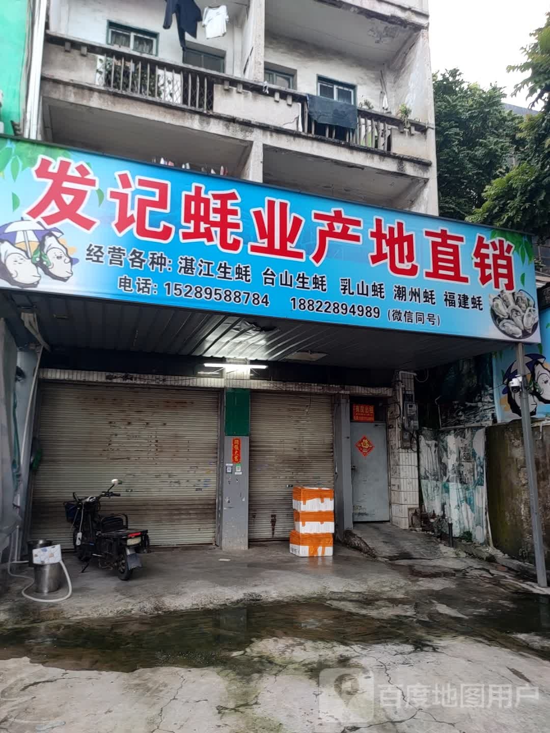 发记蚝业产地直销