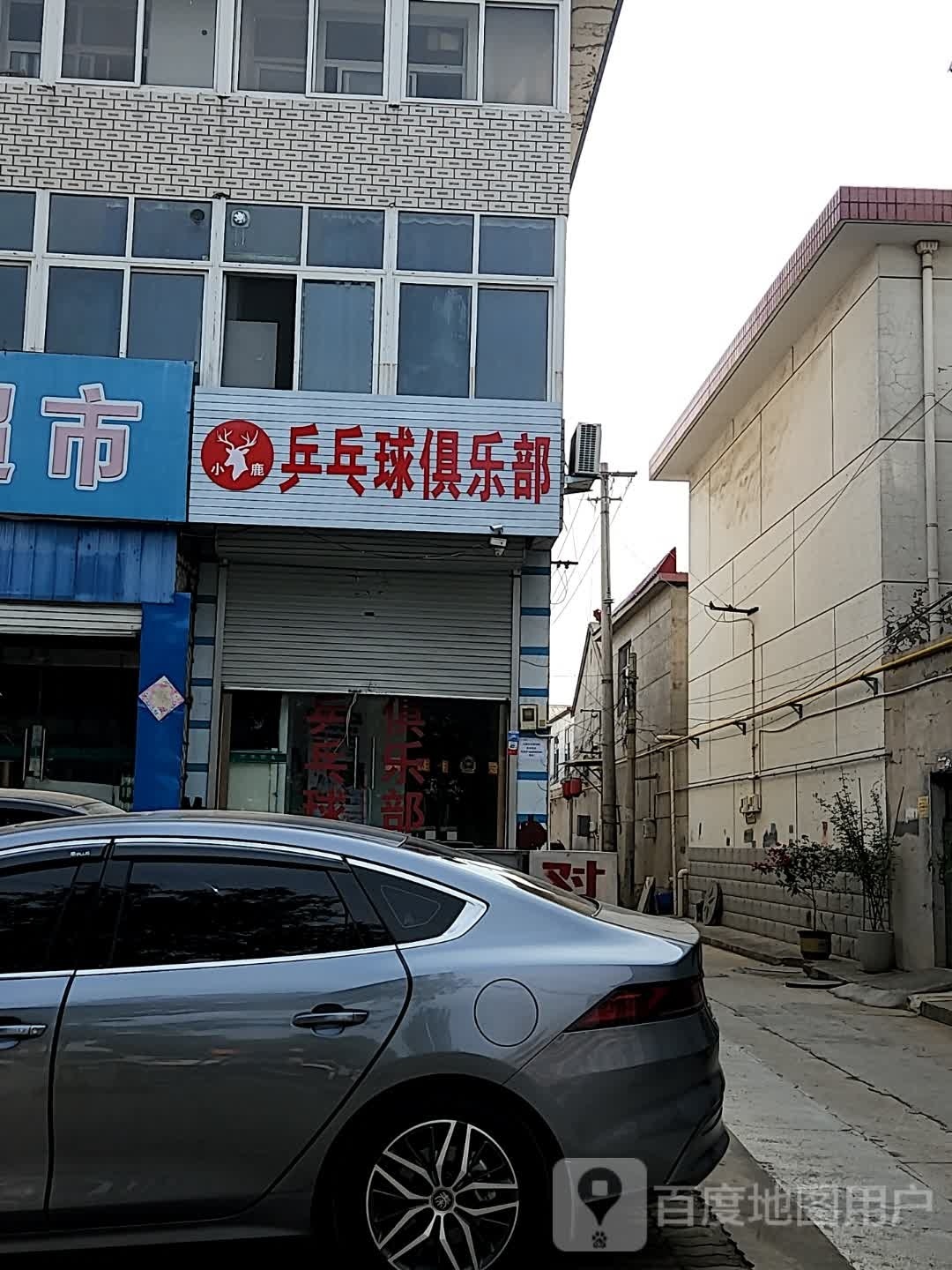 小鹿乒乓俱乐乐部