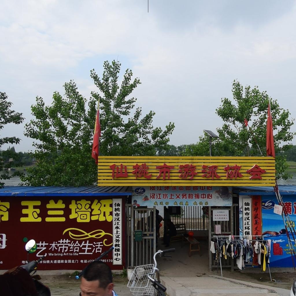 仙桃市游泳协会