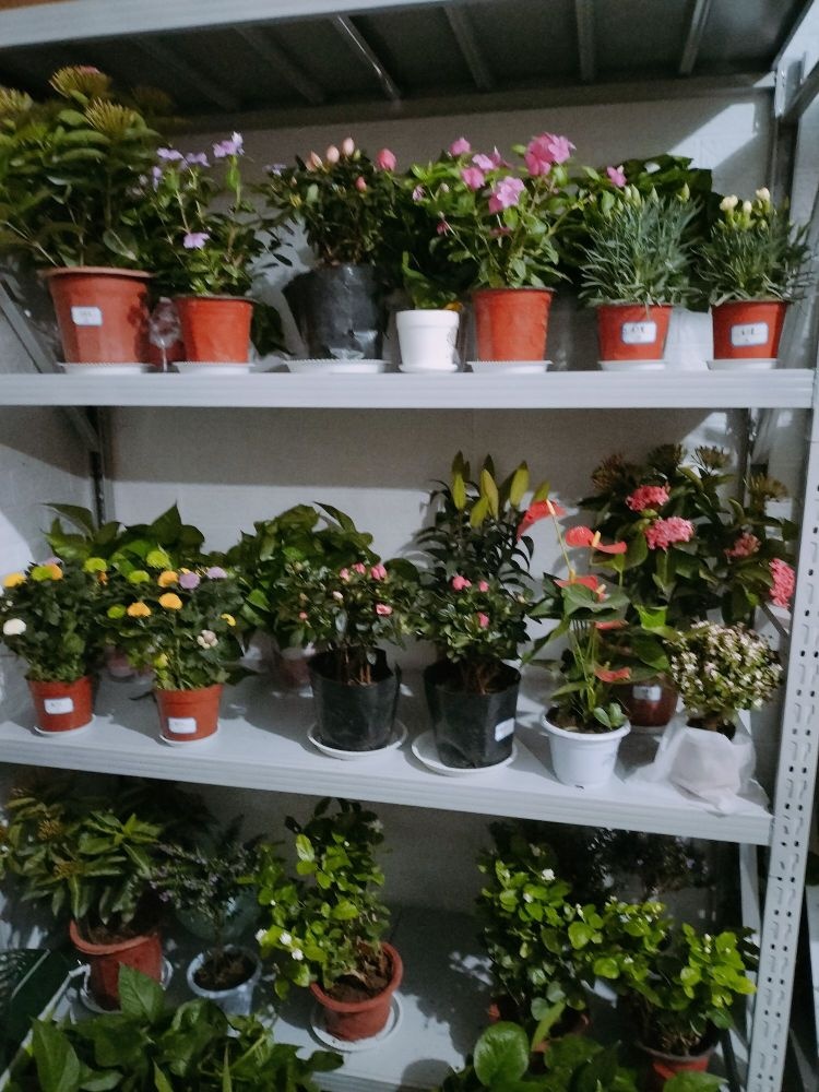 诗情花艺