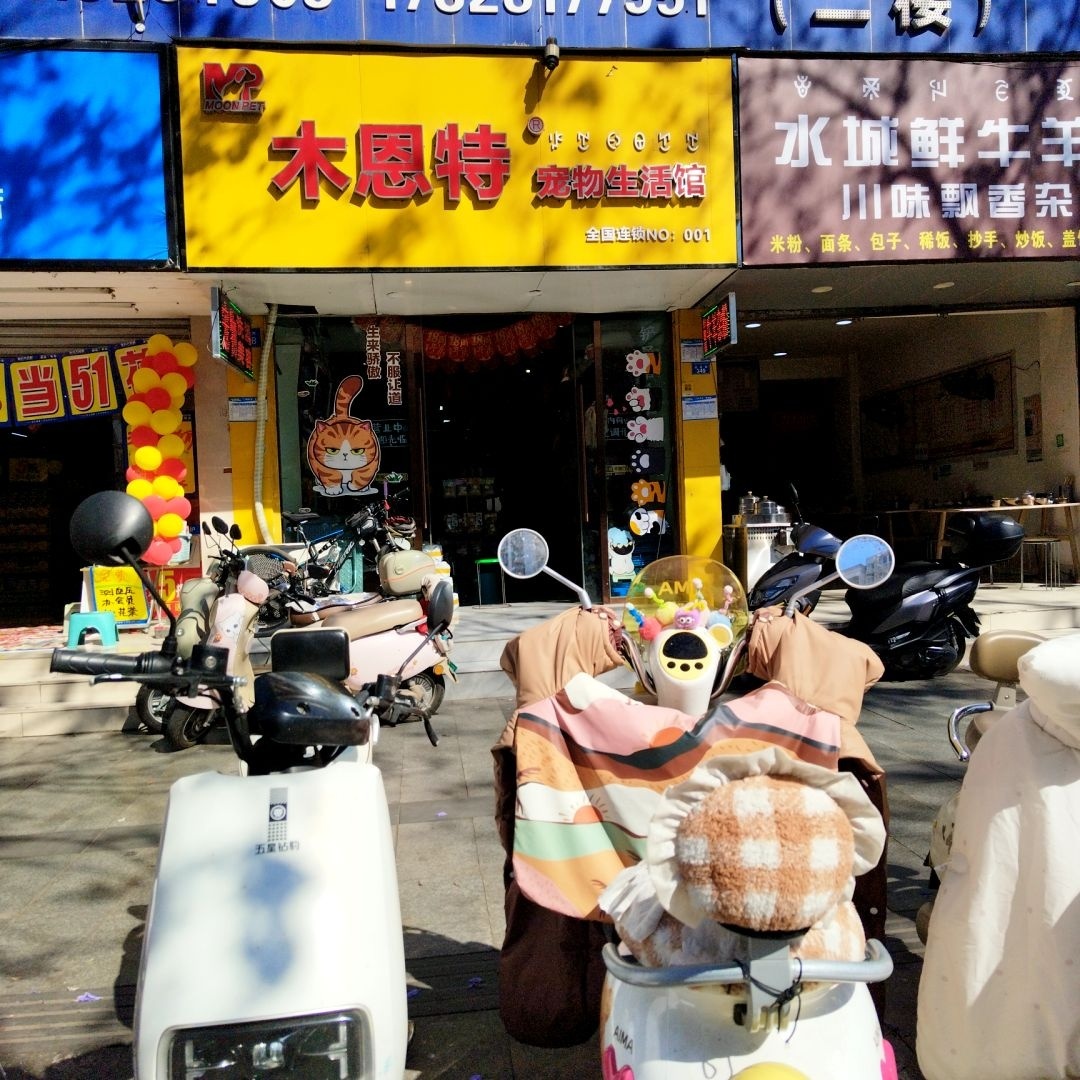 木恩特宠物生活馆(健康路店)