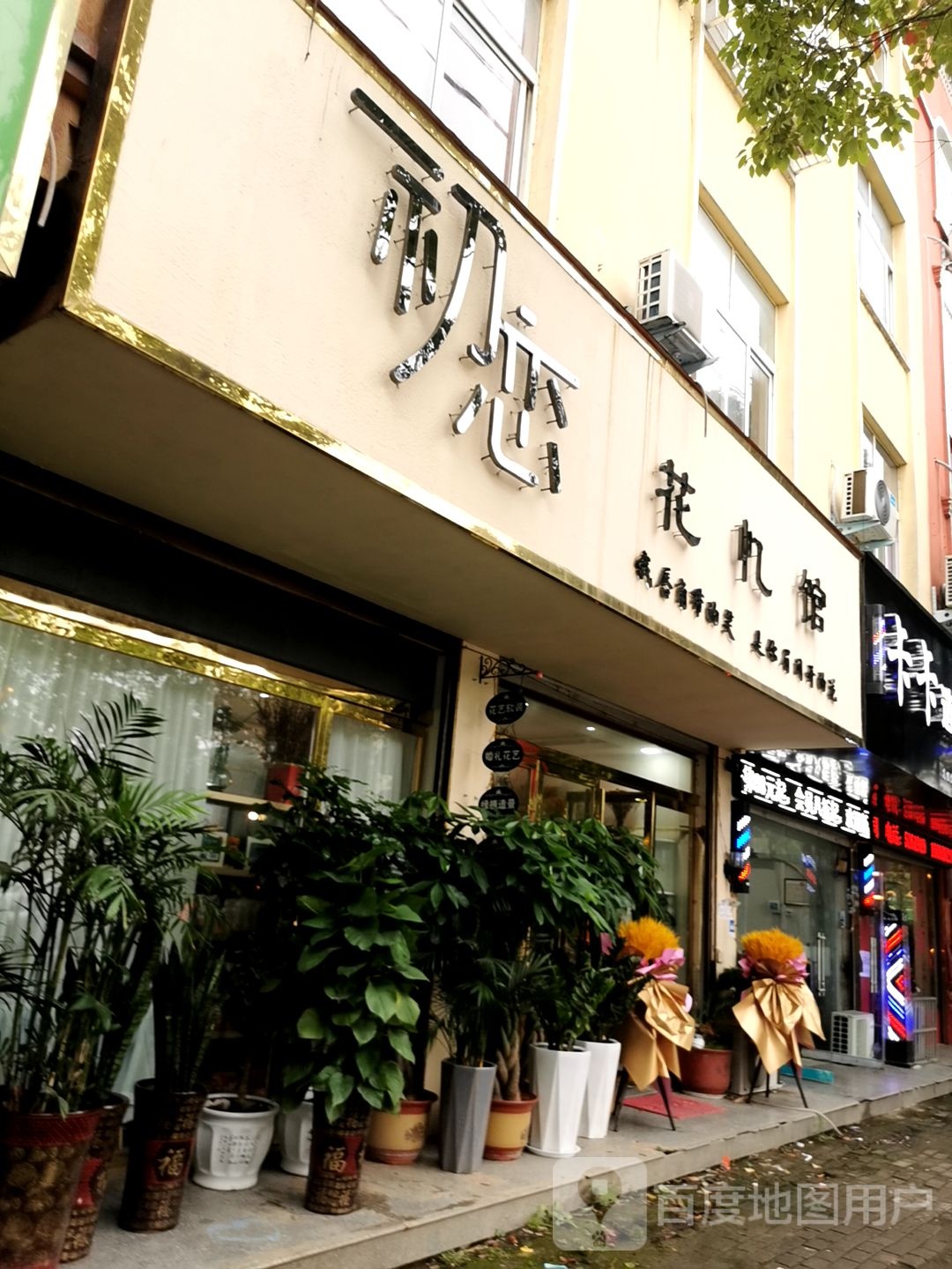 息县初恋花忆馆(步行街店)