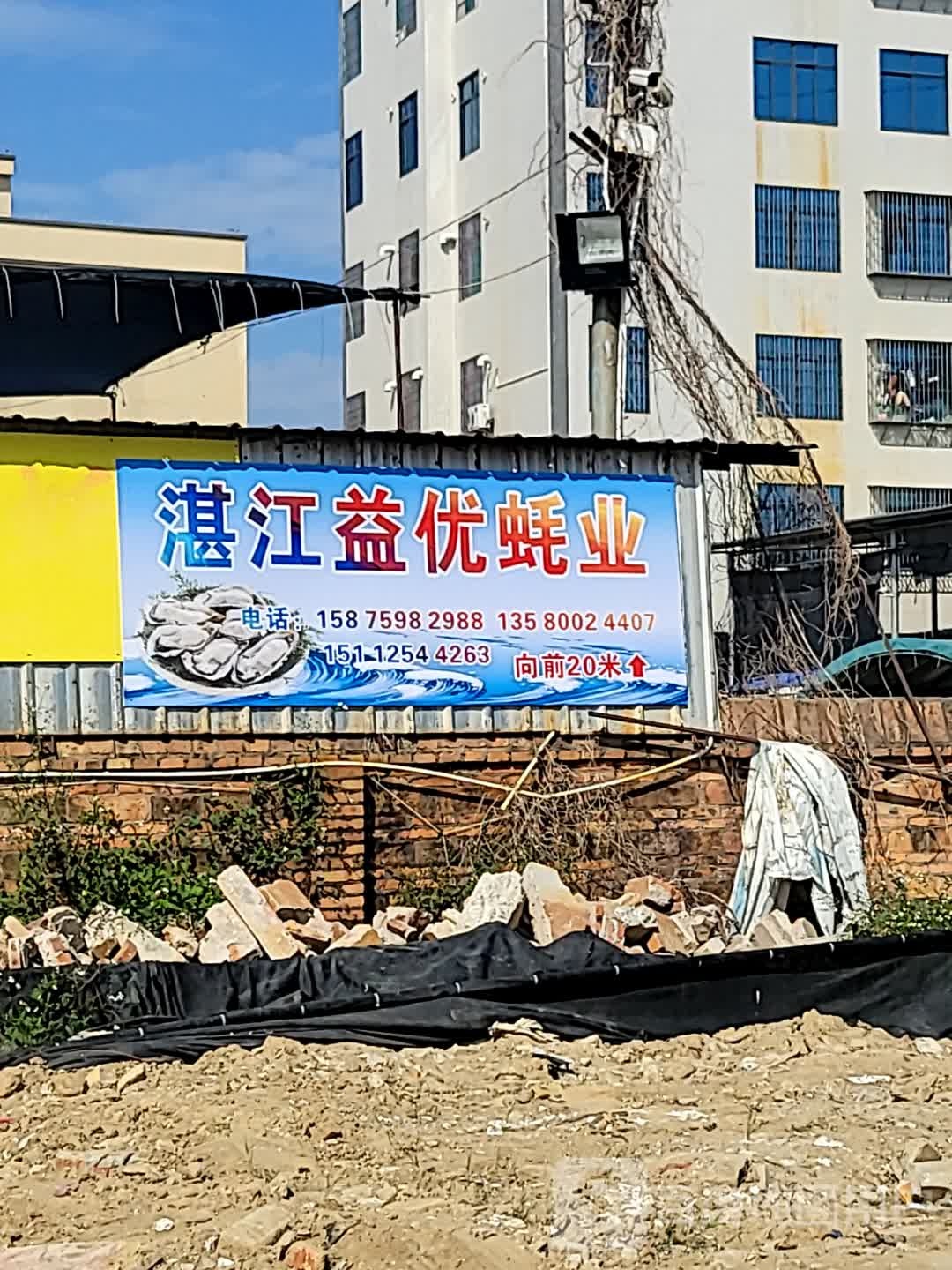 湛江益优蚝业