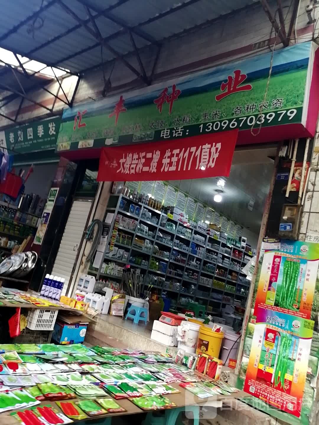老刘四季发