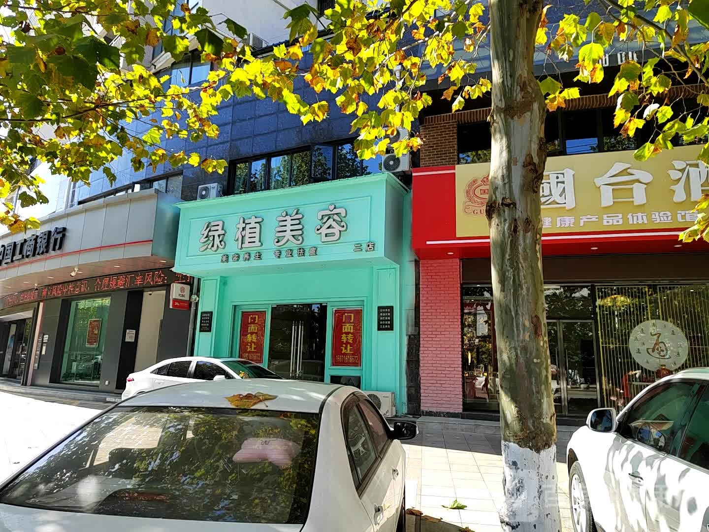 绿植美容(二店)