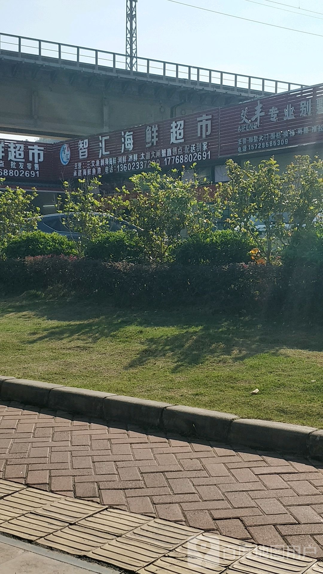 智汇海鲜超市(凤凰城店)