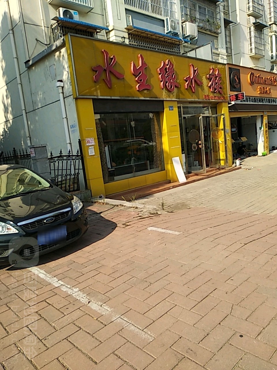 水生缘水族(新五大道店)