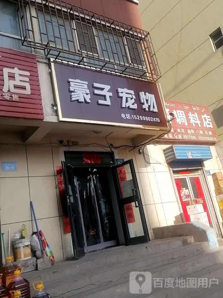 豪子宠物店