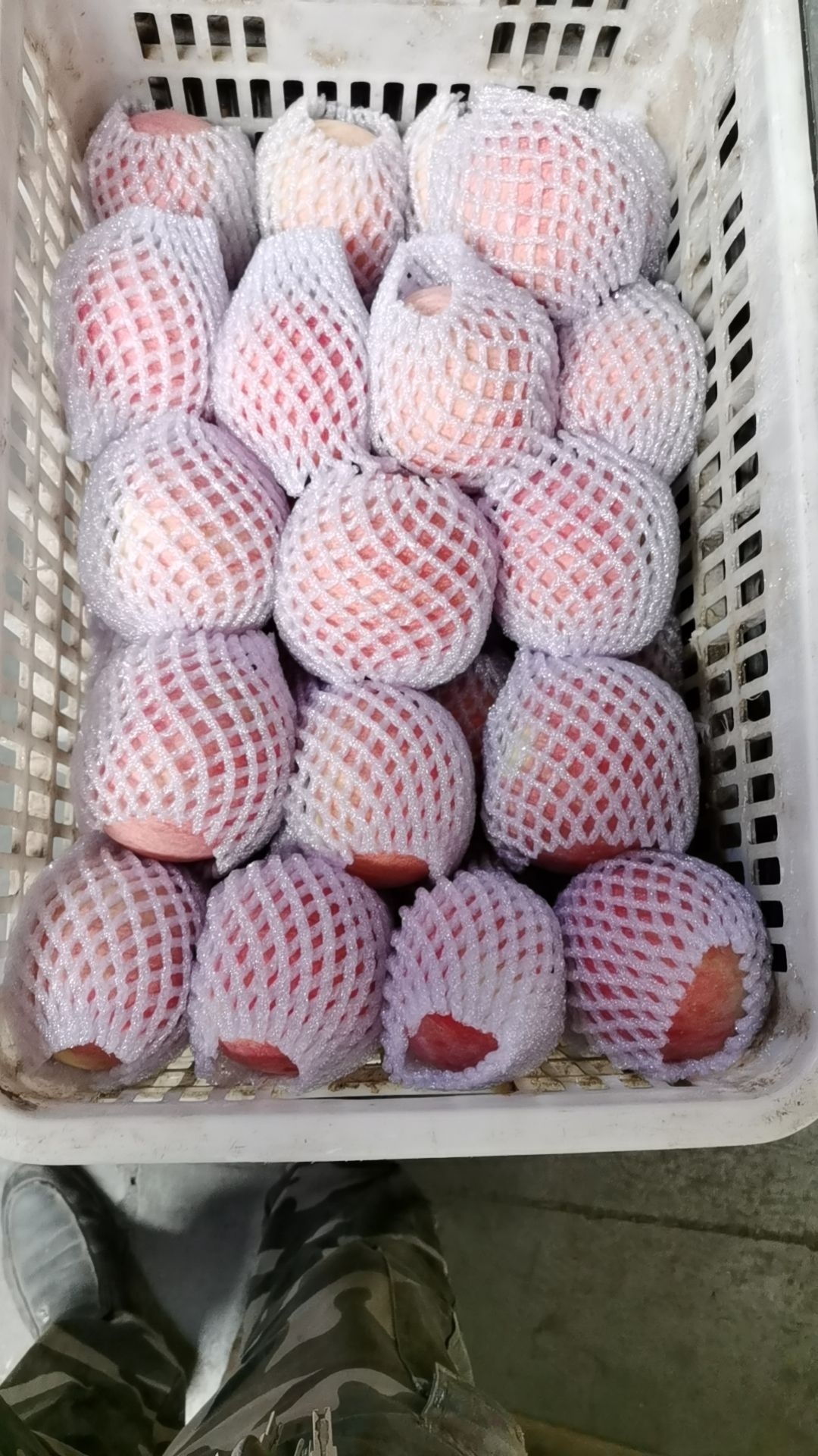 荣昌冷库红旗坡冰糖心苹果香梨批发