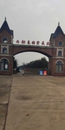 陕西紫薇信鸽公棚