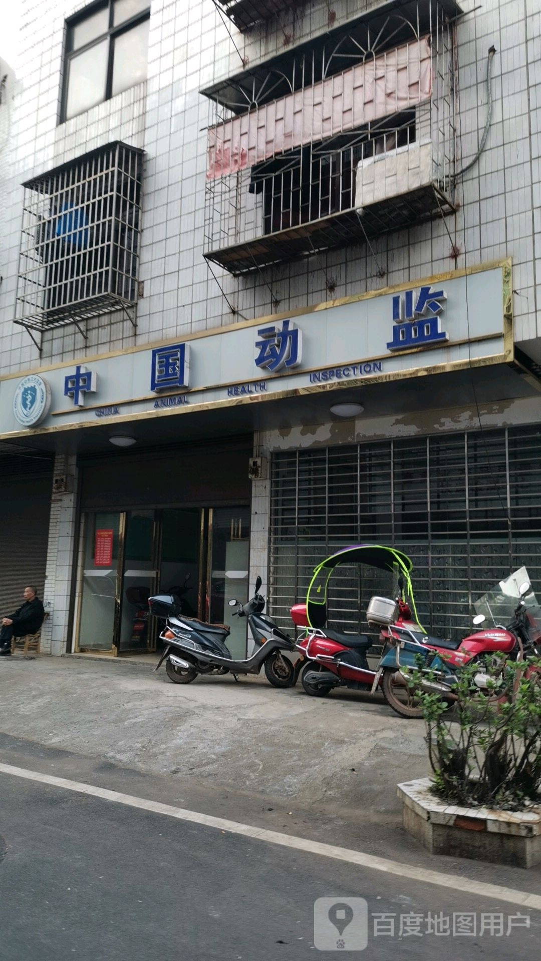 中国动监