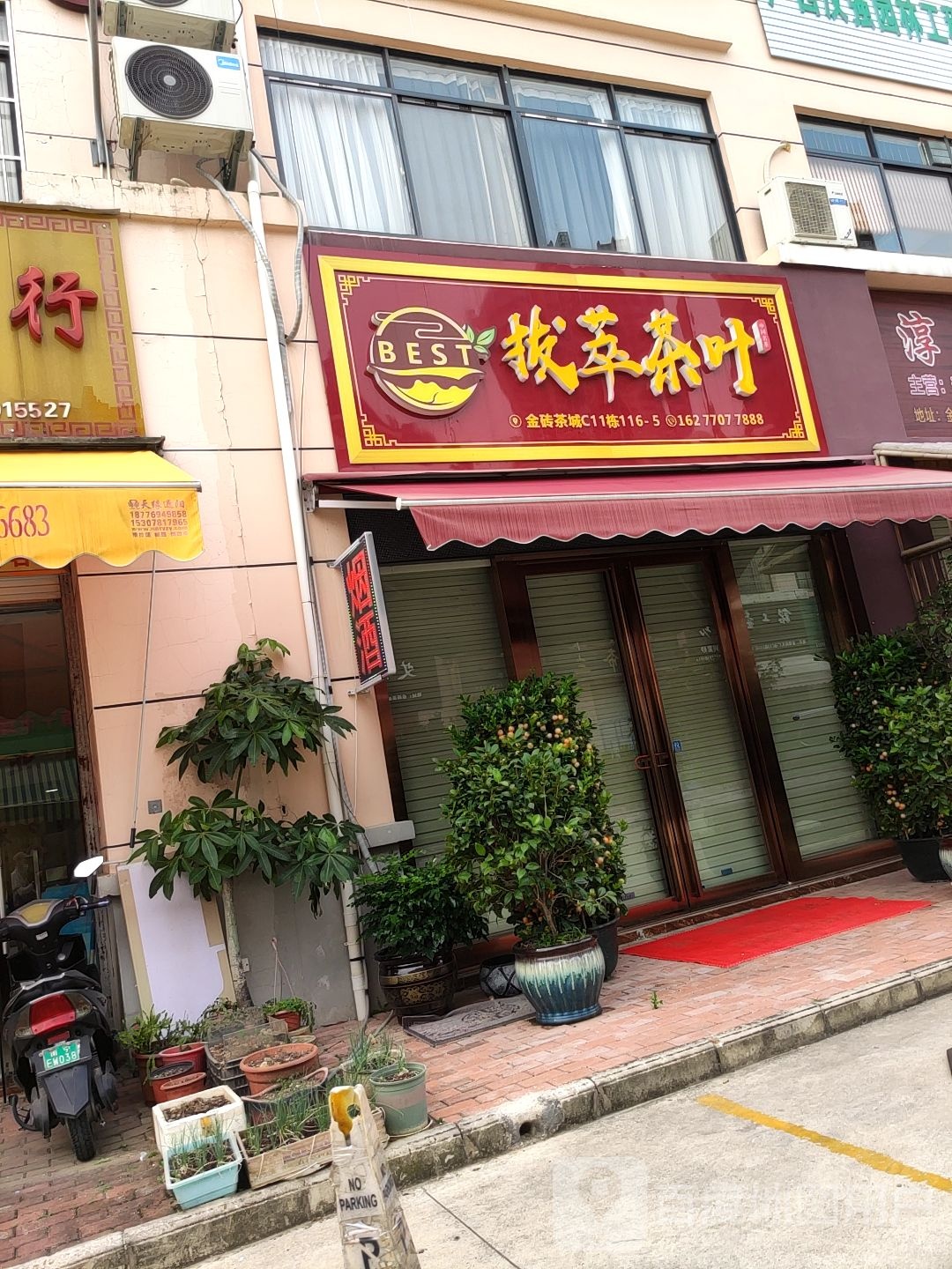 拔萃茶叶