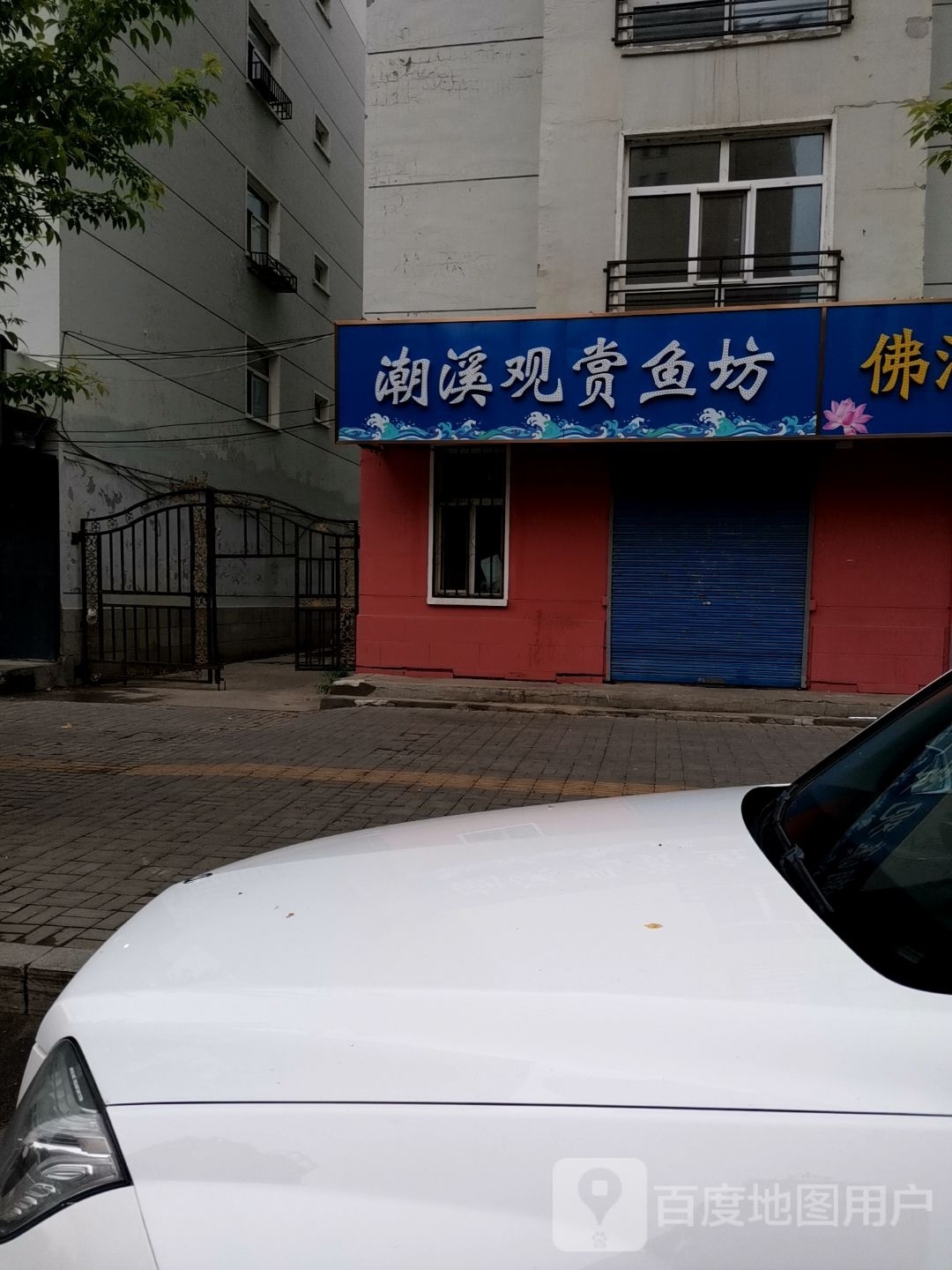 潮溪观赏鱼坊