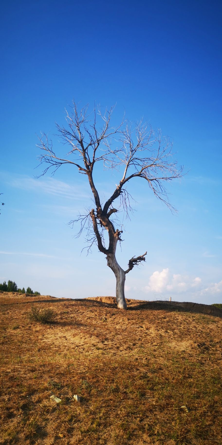 阿鲁布拉克沙漠公园