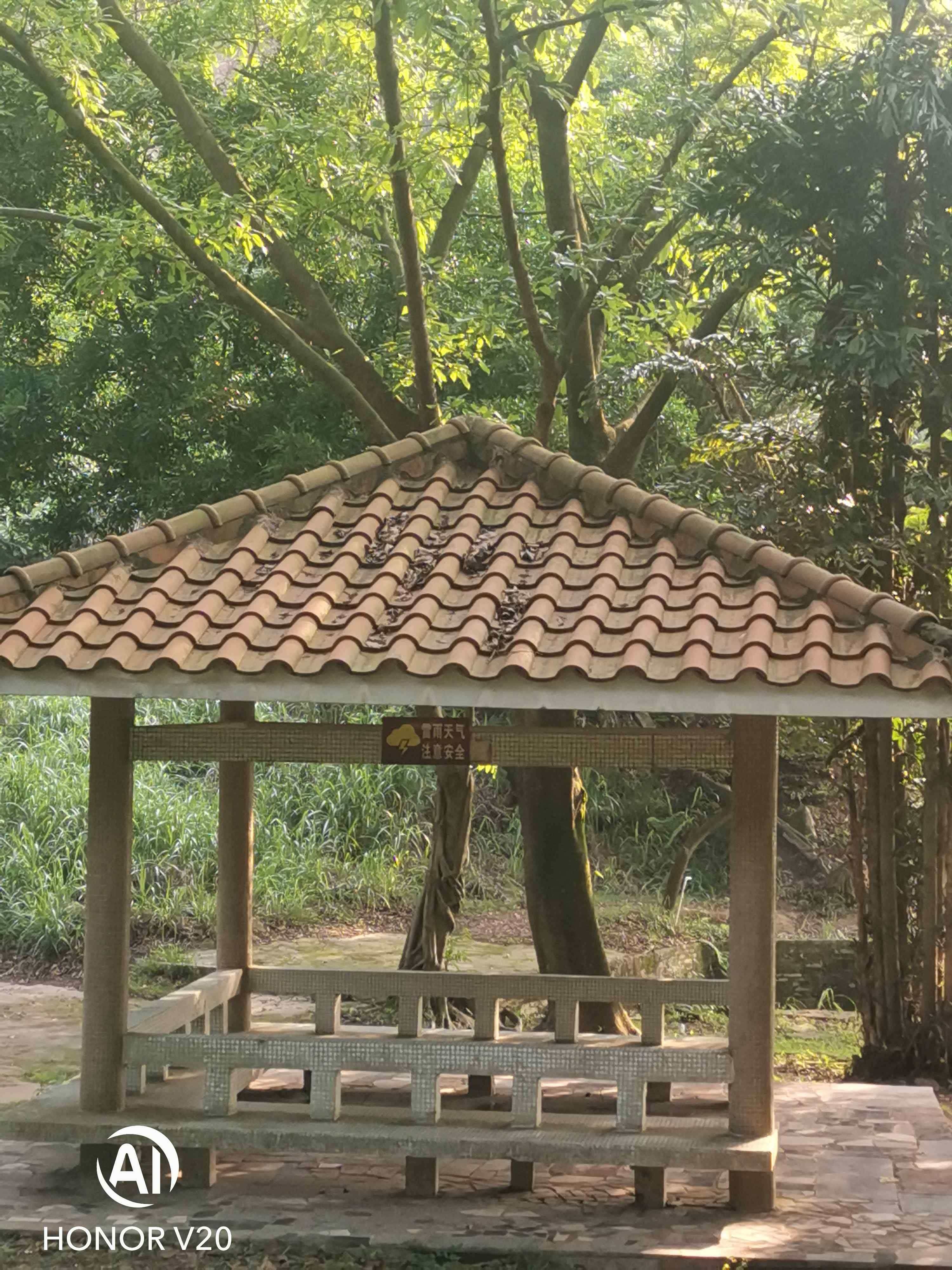 大雁山风景区-休息亭