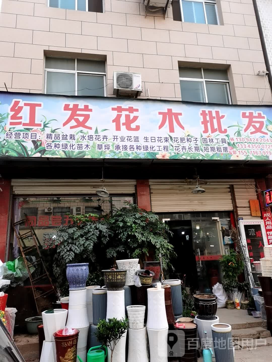 红发花卉批发超市