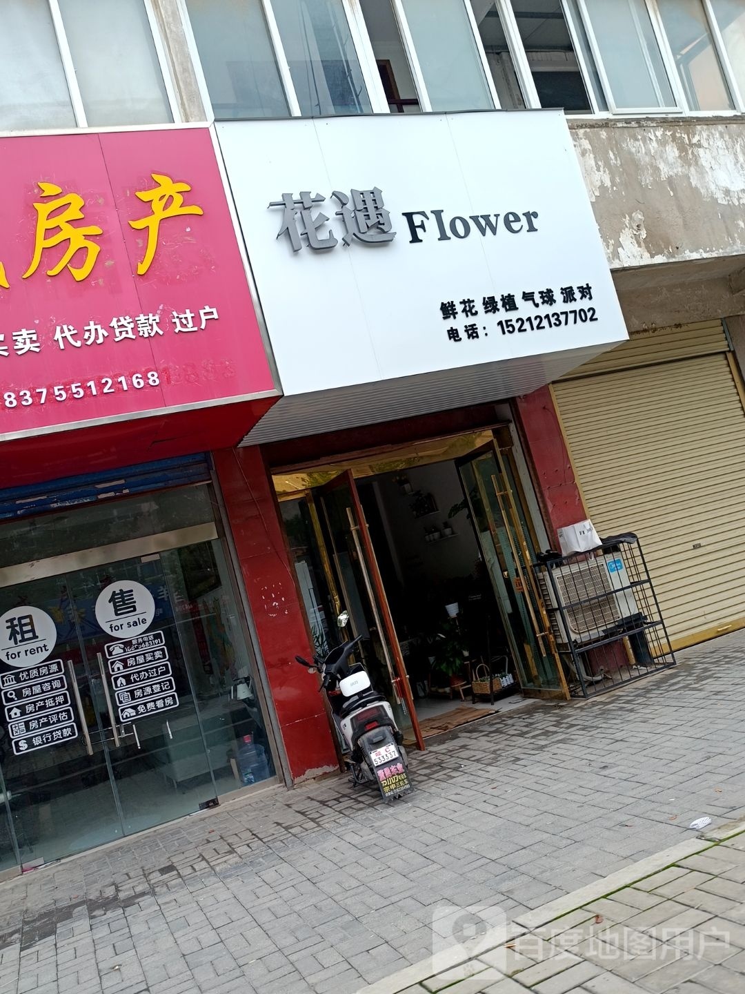 花遇Flower