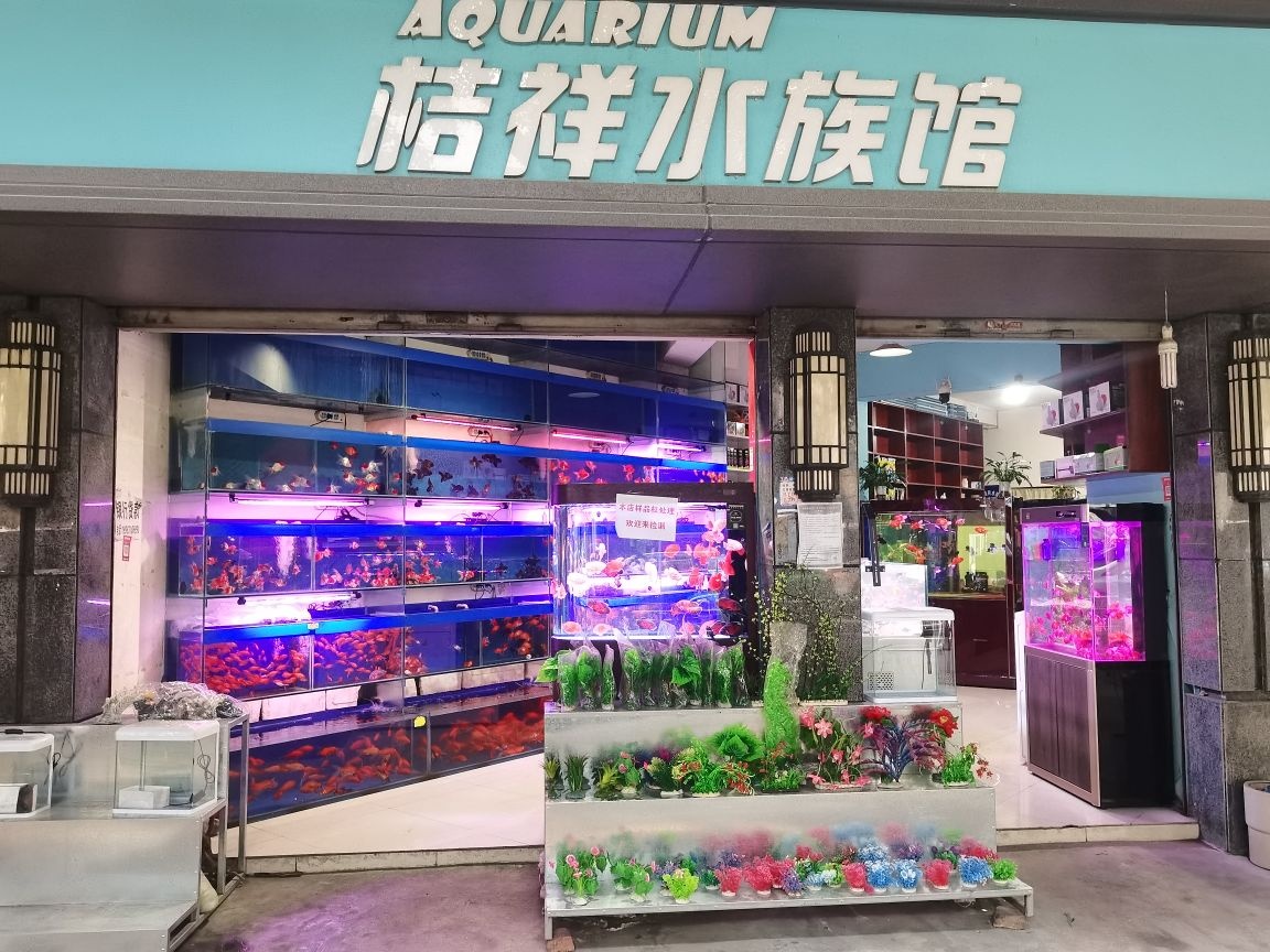 桔祥水族(一椽坊店)