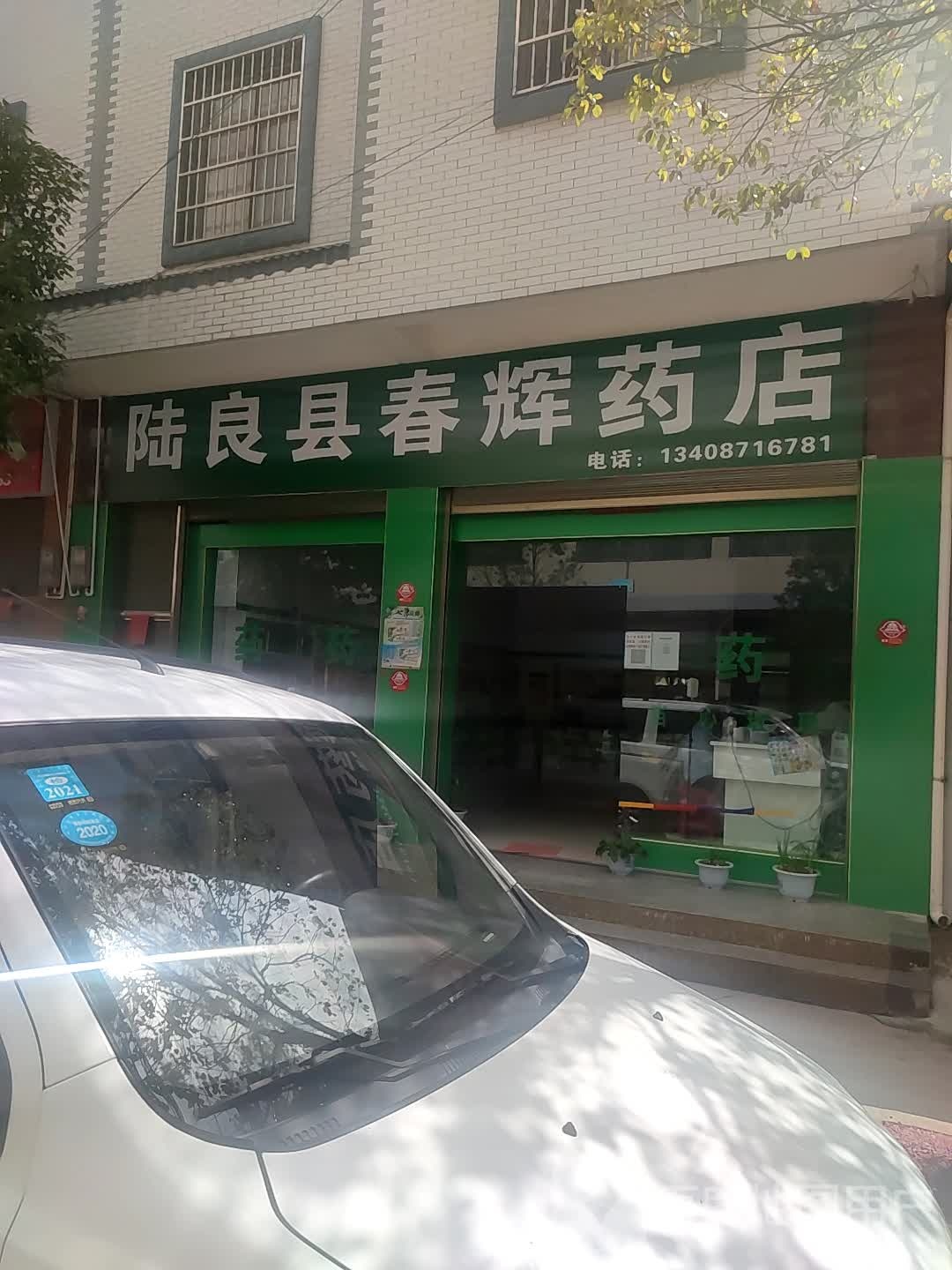 陆良县村辉药店