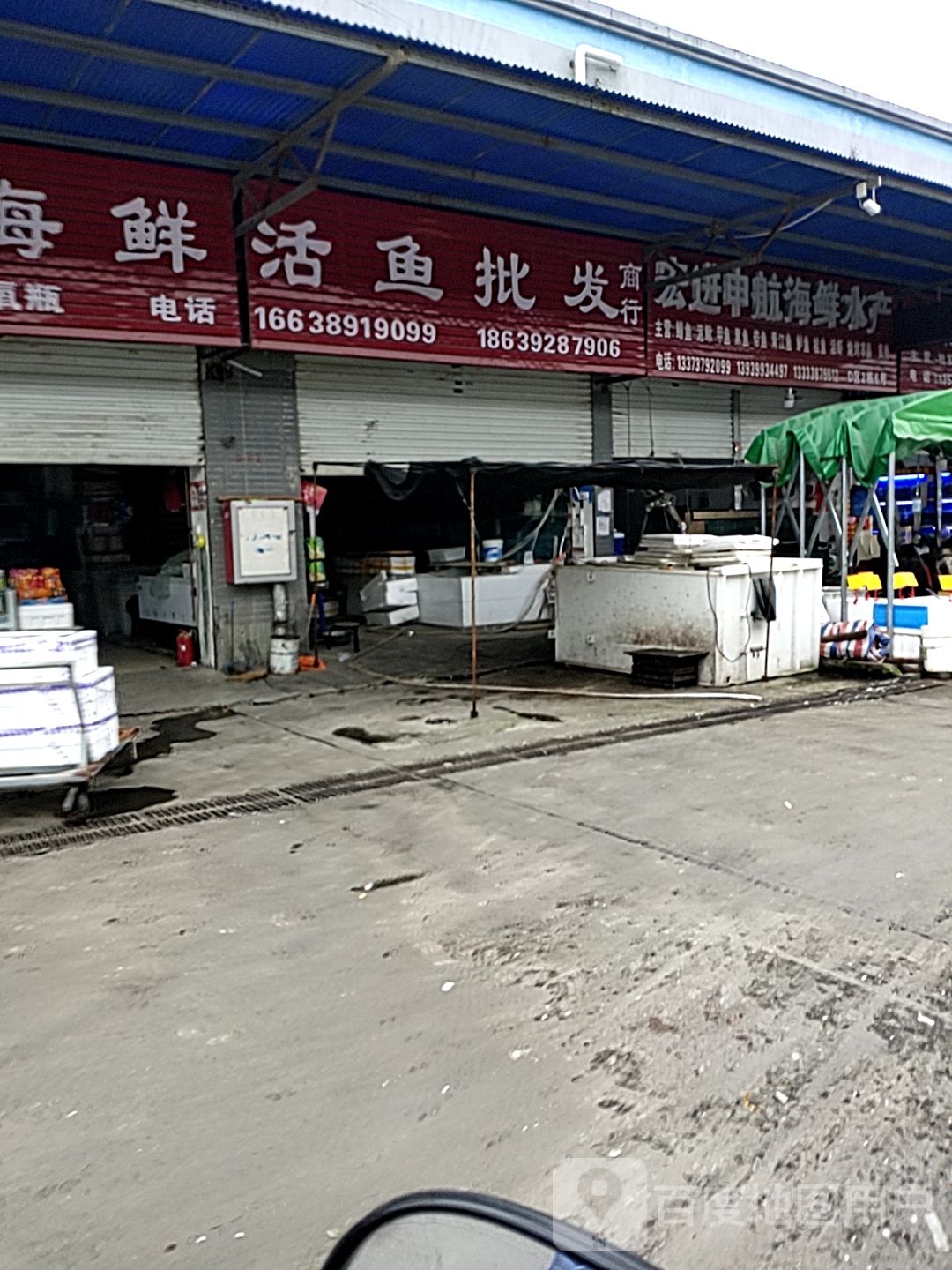 宏进申航海鲜水产店