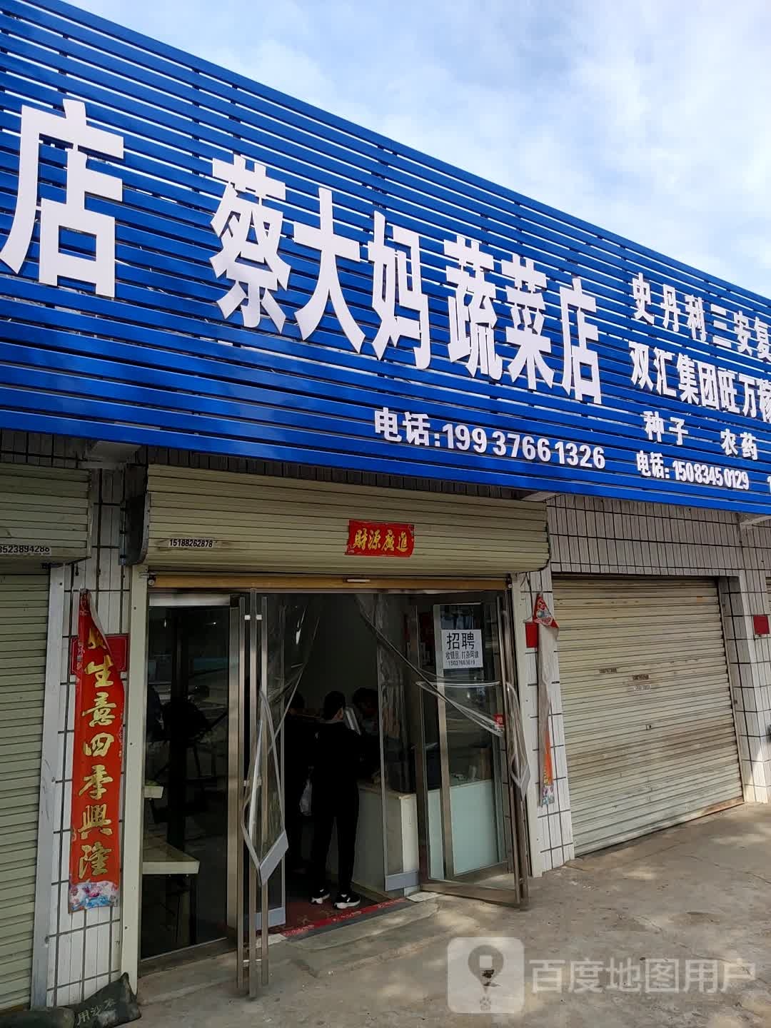 蔡大妈蔬菜店