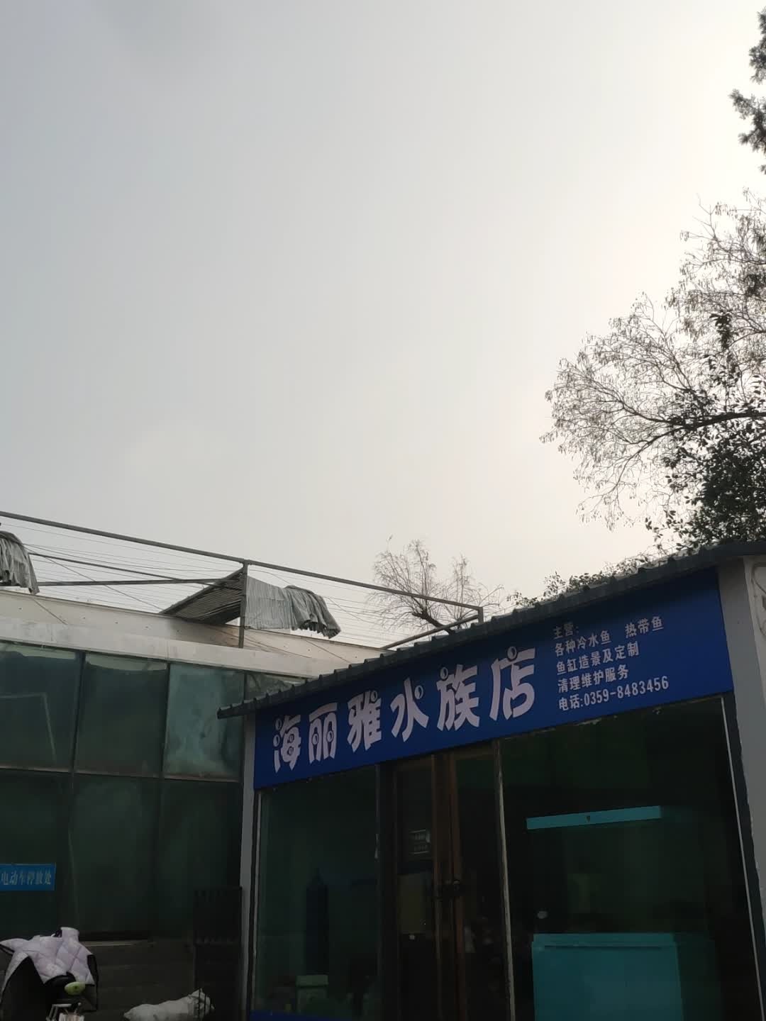 海丽雅水族店