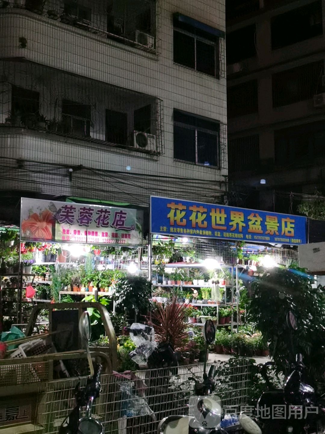 芙蓉花店(白沙路店)