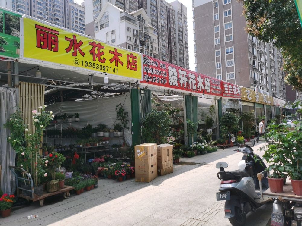 木瞀水丽花典