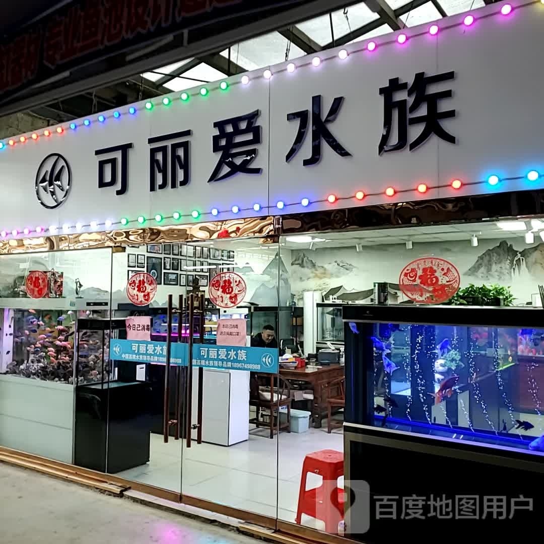 跗讯可丽爱水族(观宇路店)