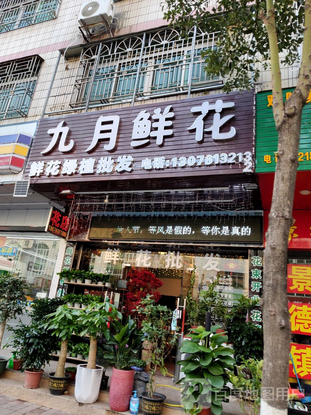 九月鲜花(河源新风店)