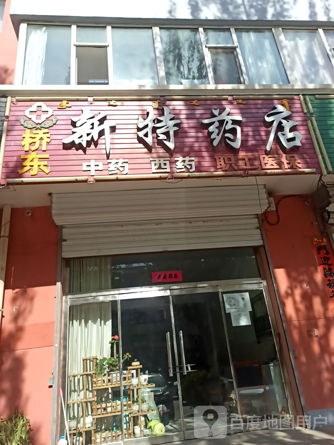 桥东新特药店