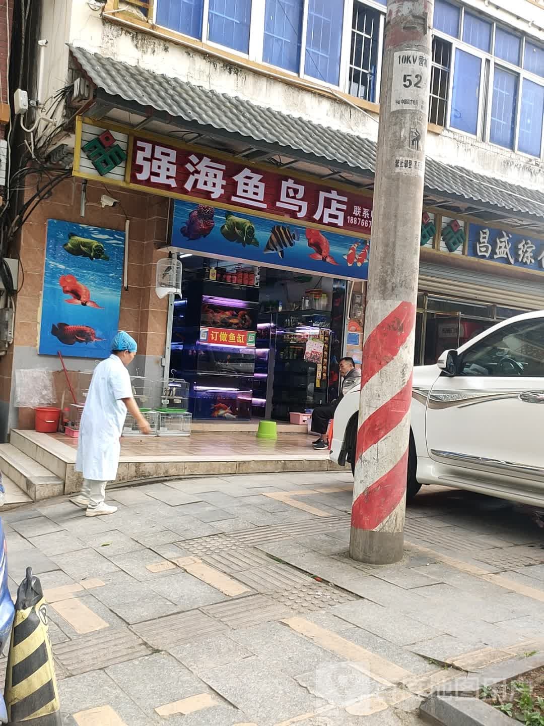 强海鱼鸟店