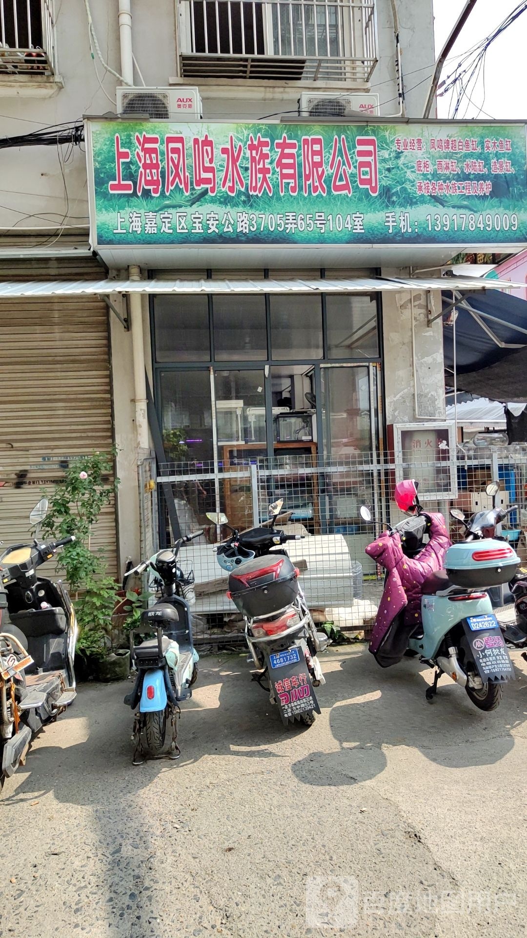 上海凤鸣水族有限公司