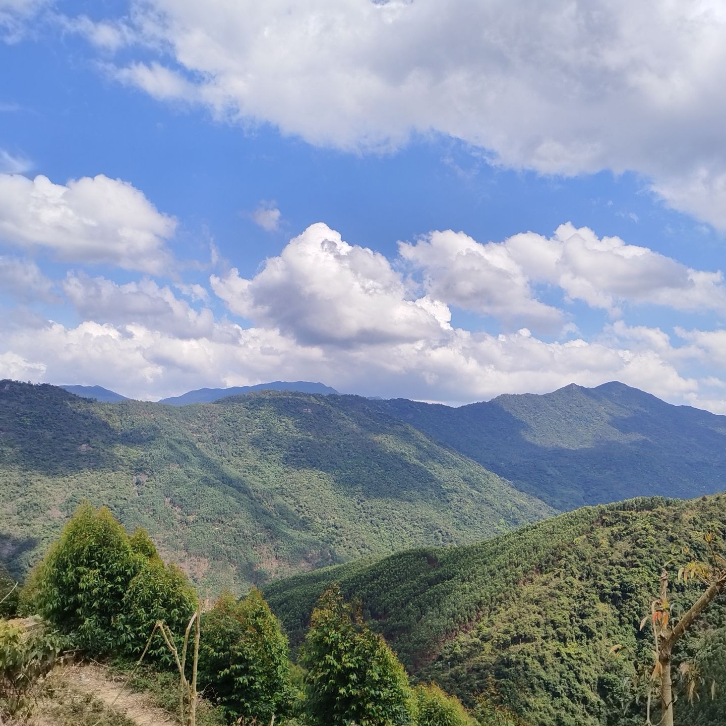 大南山