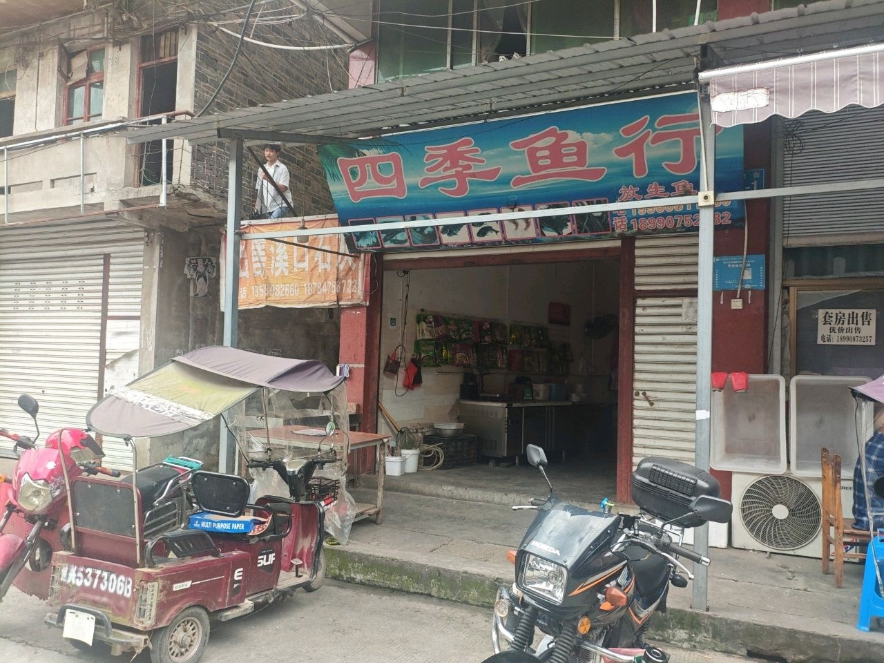 四季鱼行