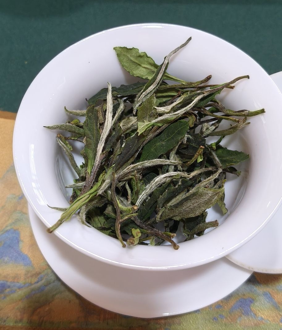 政福白茶(空港云立方店)