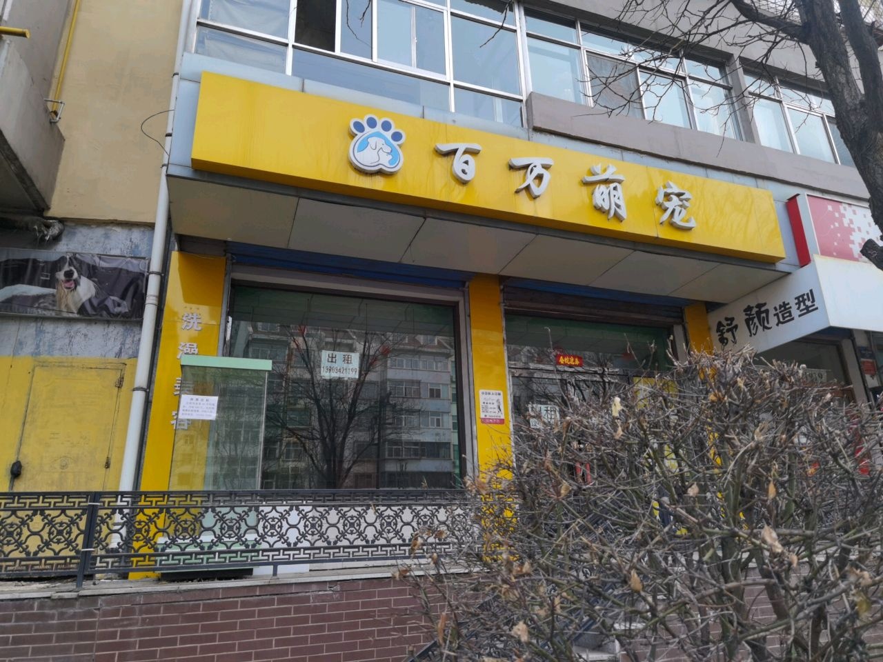 百万萌宠