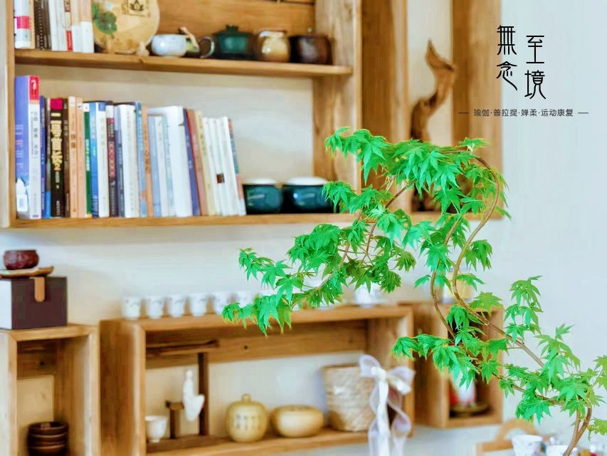 無念至境瑜伽·普拉提(南城店)