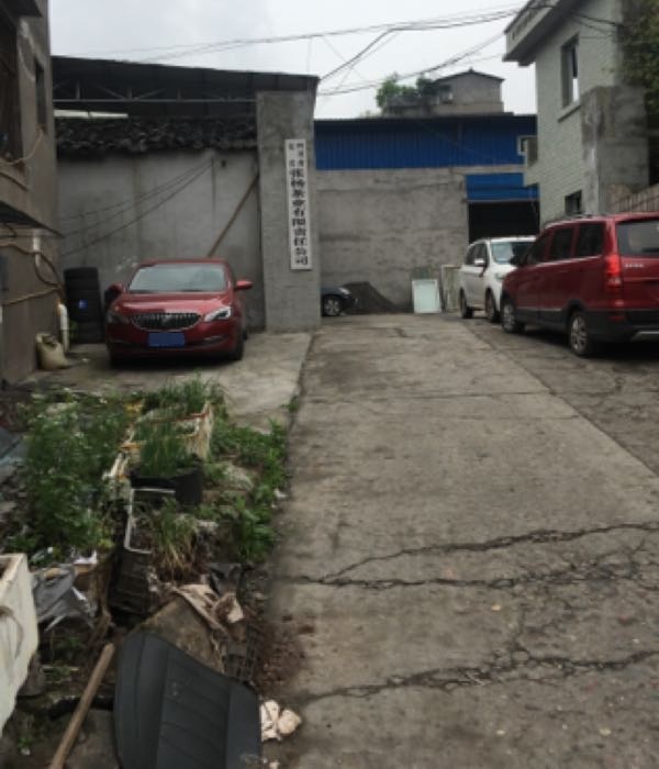 张杨茶叶