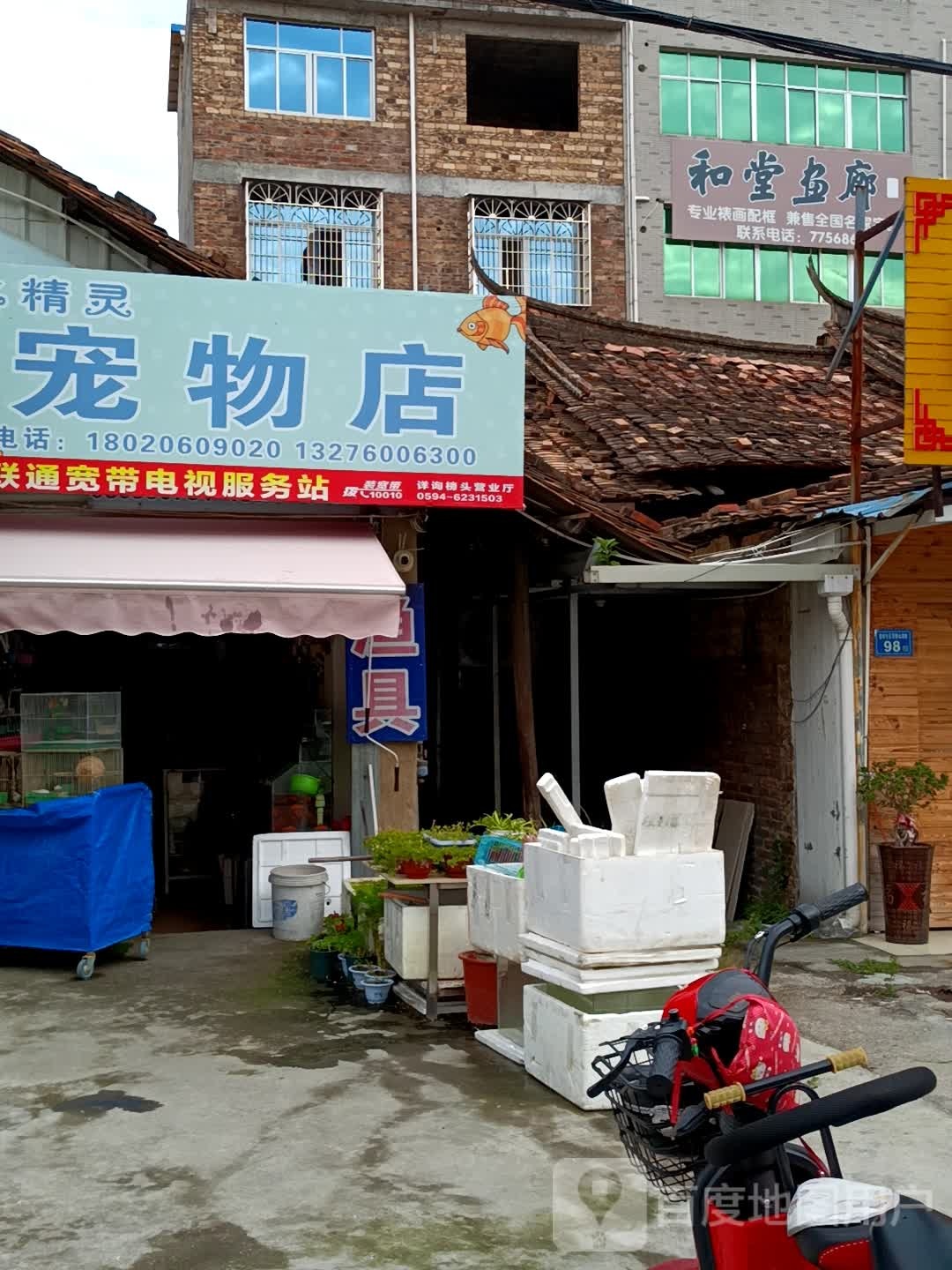 水精灵宠物店