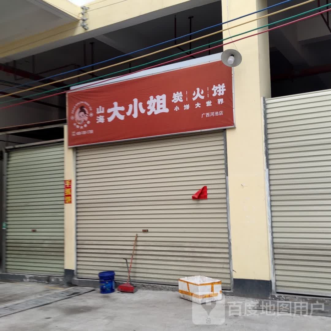 海姐小扮山炭簪大逊火饼(广西河池店)