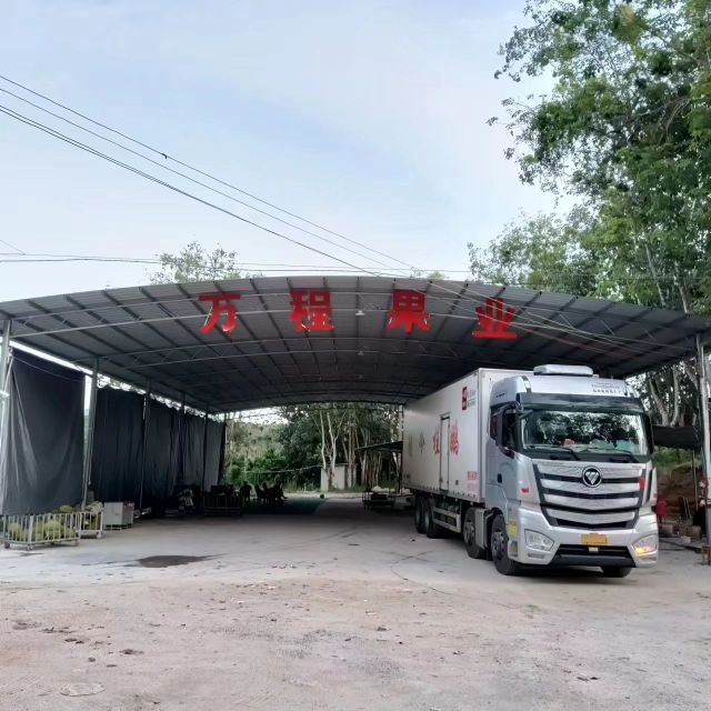 万程果业(菠萝蜜基地)