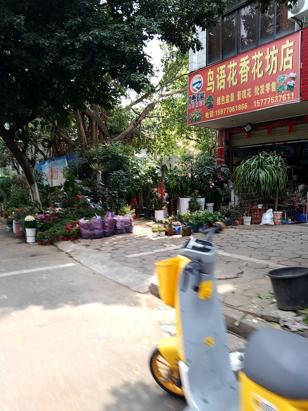 博瑞鸟语花香花坊店